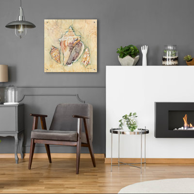 'Shells 3'  by Cheri Blum Acrylic Glass Wall Art