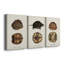 Tortues et coquillages antiques I - Toile tendue sur mesure avec châssis - 3 pièces-911466881