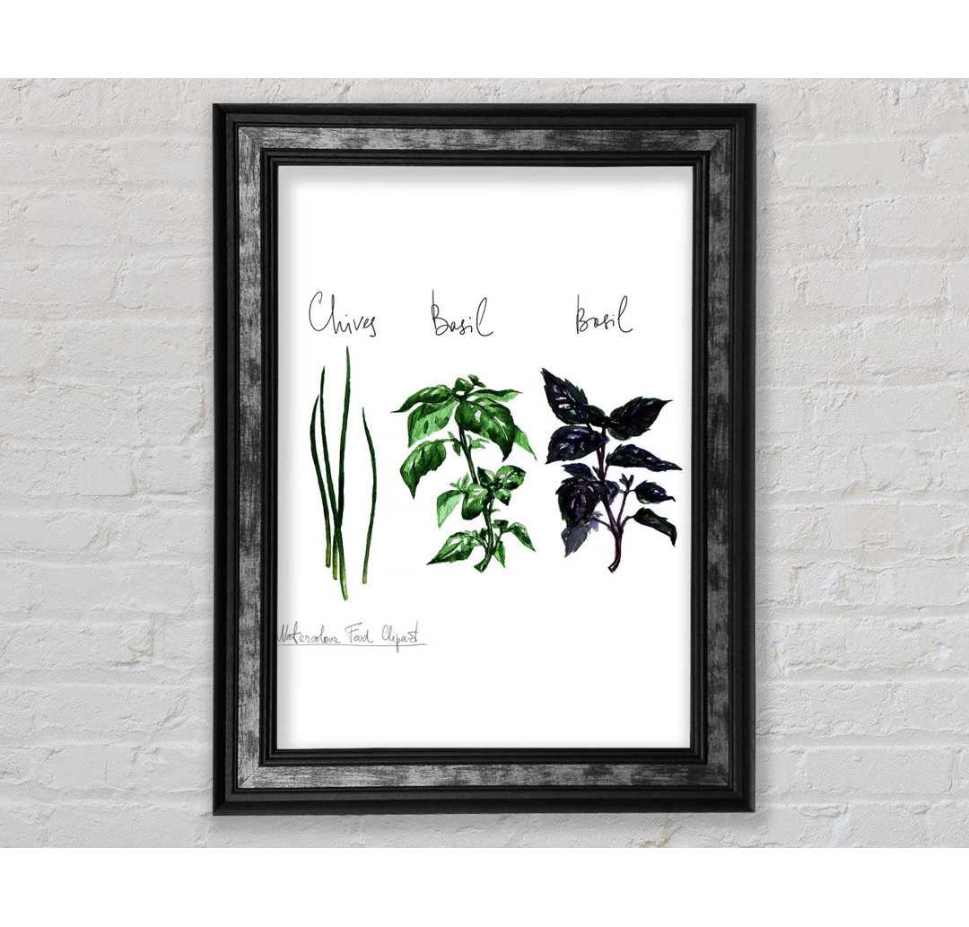 Herb Selection 4 - Einzelne Bilderrahmen Kunstdrucke