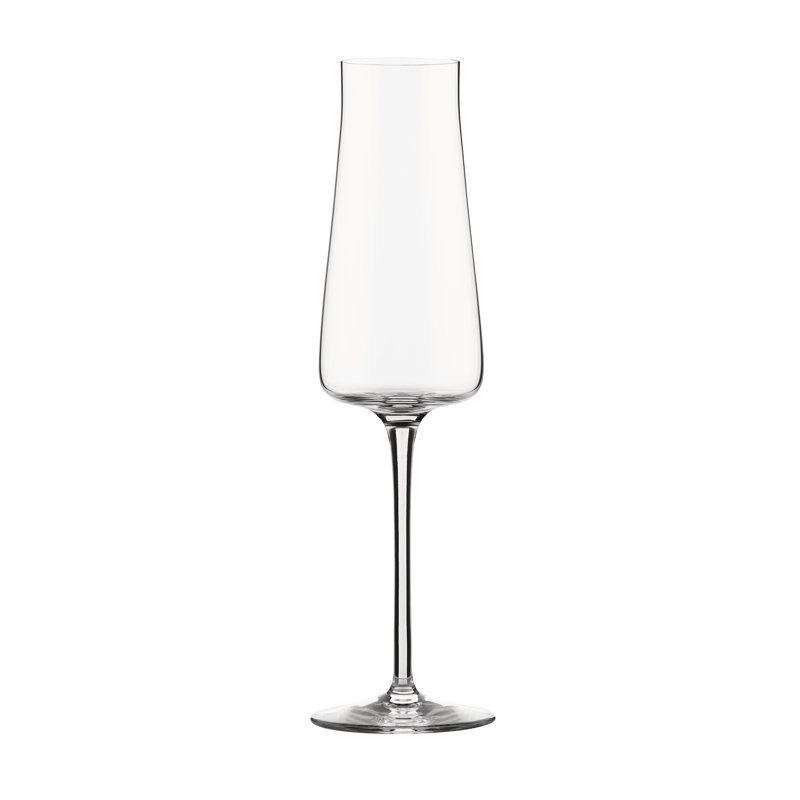 Eugenia 8.79oz. Champagne Flute Set
