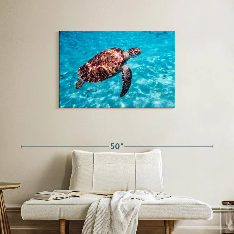 Brampt Red Turtle, 24" H x 36" W
