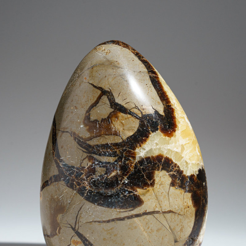 Polished Septarian Freeform from Madagascar (1.8 Lbs)