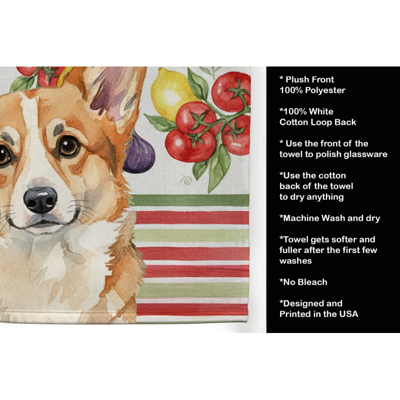 Torchon Corgi, Corgi