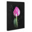 Petals of a Purple Tulip - Wrapped Canvas-56639078