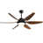 Black with Coffee Blades is out of stock