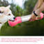 Mangeoire automatique pour animaux-65771003