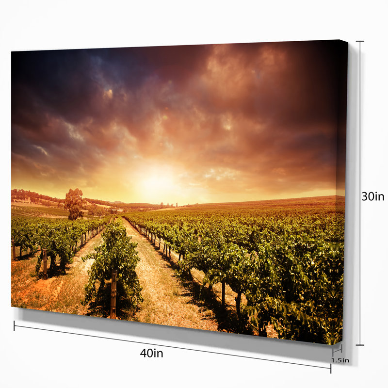 Stormy Sunset Vineyard Landscape Canvas Art, 32" x 16"