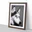 Husky Dog in Abstract - Framed Print-55769210-55769211