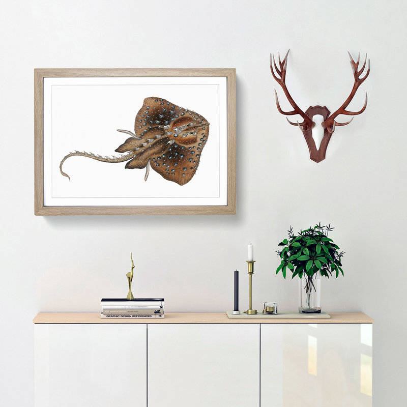 Starry Ray by Edward Donovan - Picture Frame Art Print, Oak Framed, 48cm H x 65cm W x 2cm D