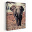 «Lonely Elephant Abstract», art mural contemporain-801814269