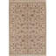 Floral Area Rug in Beige/Gold