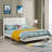 Janaila Tufted Upholstered Platform Bed-1198890129-1198890128
