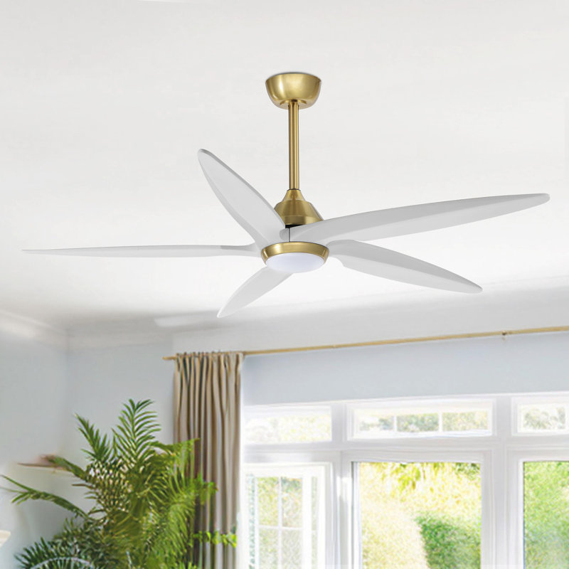 Chanille 5-Blade Solid Wood Ceiling Fan with LED Light and Remote Control, Gold, White, 54"