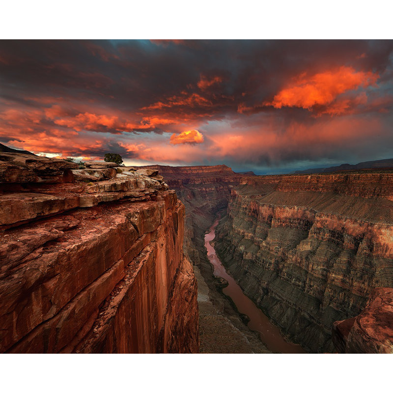 Wrapped Canvas Print, 76.2 cm H x 50.8 cm W