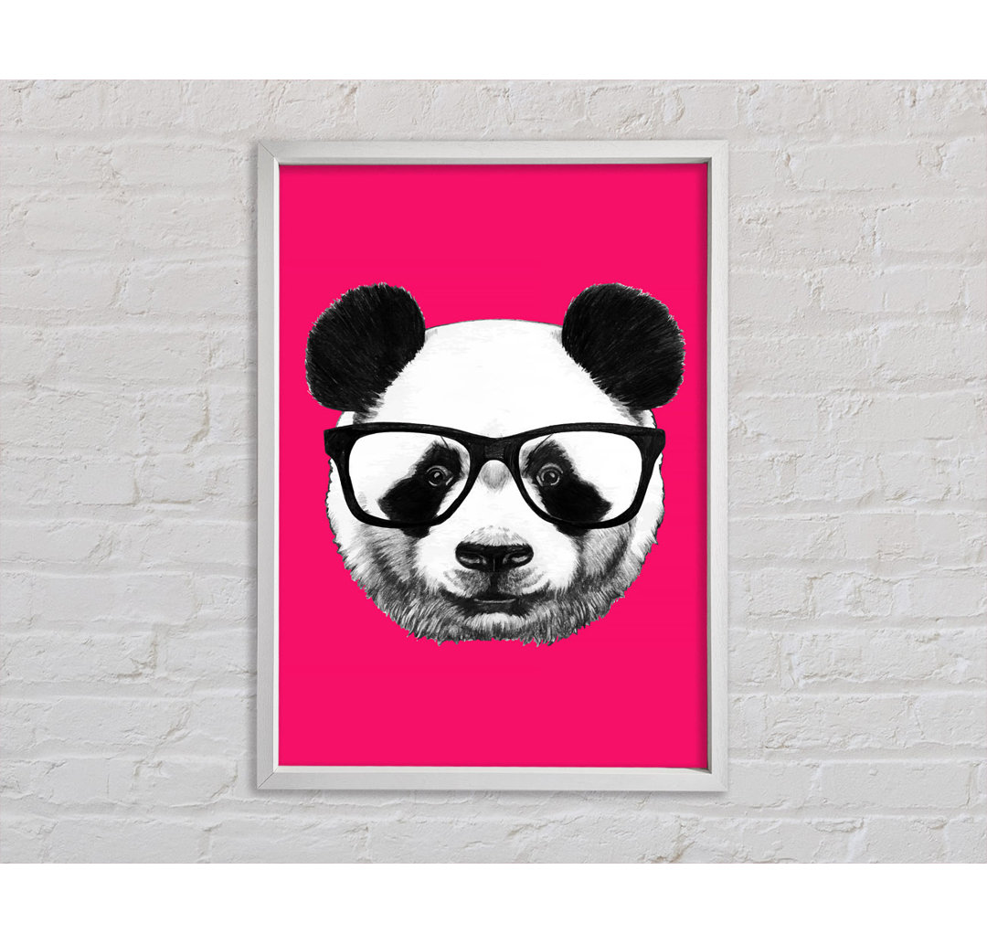 Funky Panda - Druck