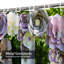 Bouquet d'anniversaire rétro avec 12 crochets-1679670680