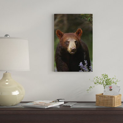 «Black Bear Portrait, North America I» par Tim Fitzharris, reproduction sur toile sans cadre