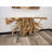 Carved Teak Root Console Table