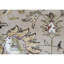 Oriental Area Rug
