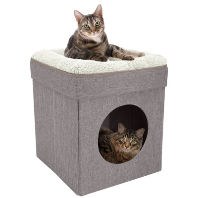 Tolar 19.3'' H Cat Tree