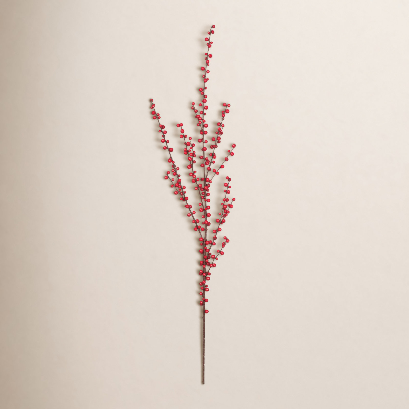 Kathreen Berry Stems