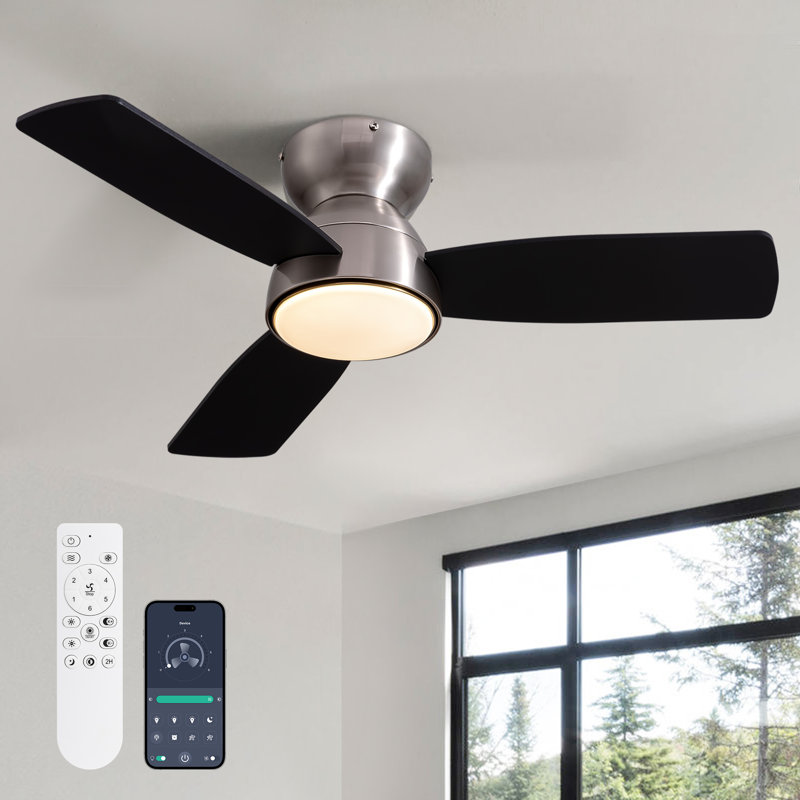  32'' 3 - Blade LED Standard Ceiling Fan with Light Kit & Remote, Nickel, Black, 32"