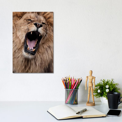 Lion III by Goran Anastasovski - Wrapped Canvas Print