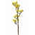 Jaune est en rupture de stock