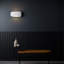 Aria 1 - Light Flush Mounted Sconce