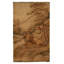 Silk Animal Print Area Rug in Brown