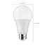 12 Watt White LED Bulb-132127062-58802305