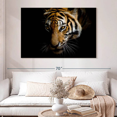Tigre de Sumatra Brampt