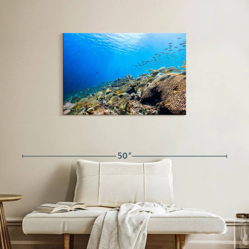 St. lucia ocean life Aletra, H 24 po x l 36 po