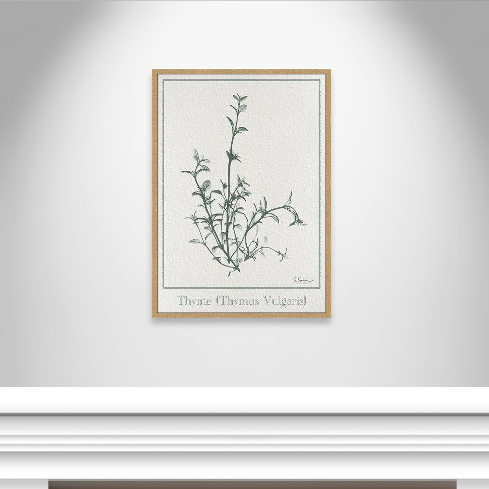 Jeanette "Thymus Vulgaris" Print, 35.5" H x 25.5" W x 1.25" D, Natural Framed Paper