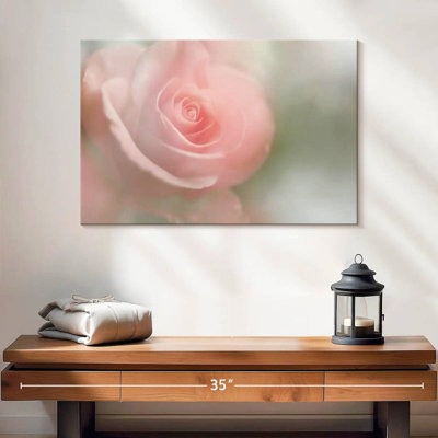 Harnek Soft Rose I