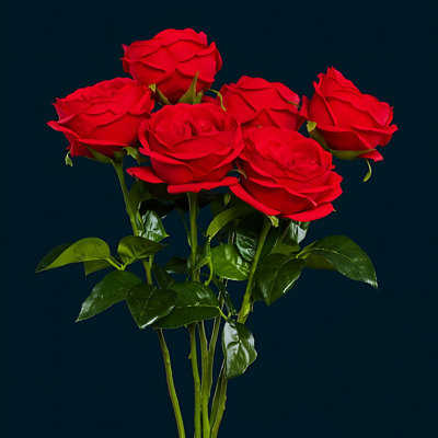Arrangement de roses
