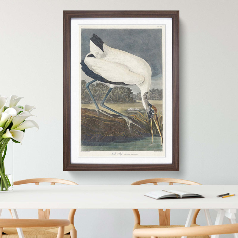 Wood Stork by John James Audubon - Picture Frame Painting Print, Walnut Framed, 48cm H x 36cm W x 2cm D
