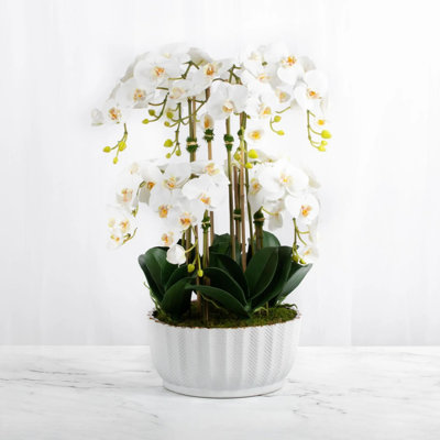 Silk Orchid Arrangement in Planter