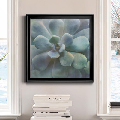 " Soft Succulent II " Painting Print