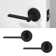 Muse Privacy Door Lever with Push Button and Round Rosette