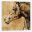 « stallion i », impression sur toile-31856138-73216645-73216647