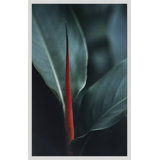 Natural Texture Series 2' Framed Photographic Print on Glass