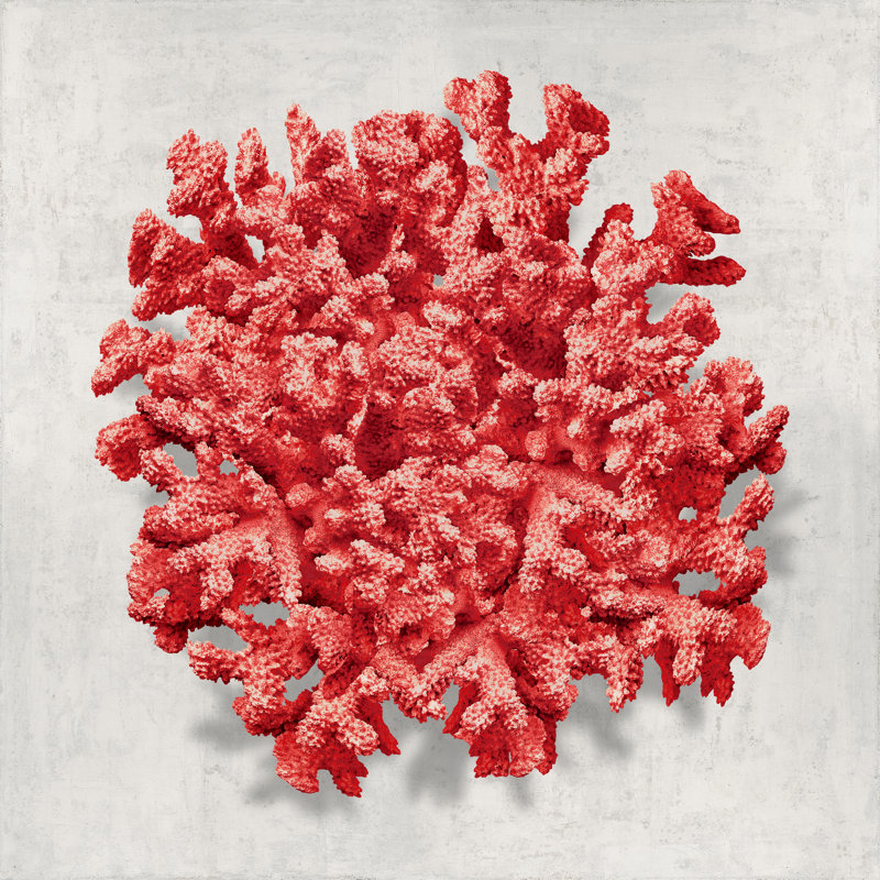 Coral Red II by Caroline Kelly - Wrapped Canvas Print, 91cm H x 91cm W