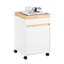 Sharun 63cm Wide File Cabinet