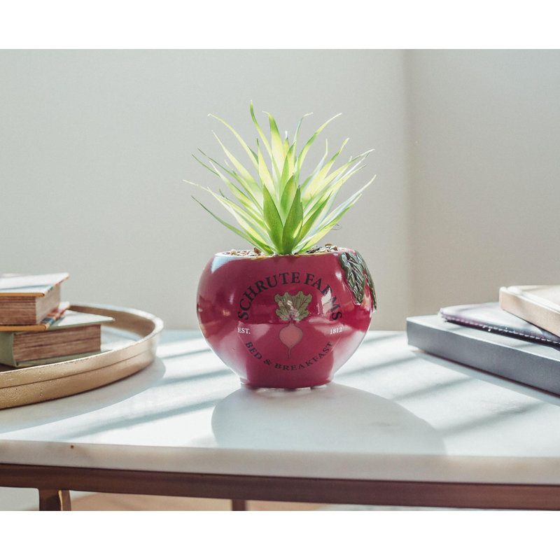 Plante grasse artificielle 7,5 po en pot