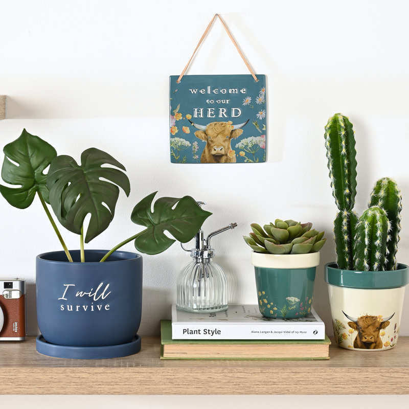 Ceramic Pot Planter