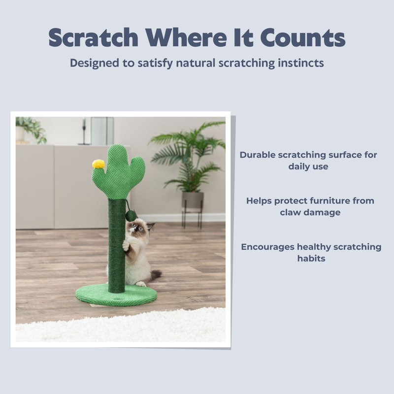  Grattoir en jute 24 po Fero - Mignon arbre à chat cactus fantaisiste avec jouet suspendu