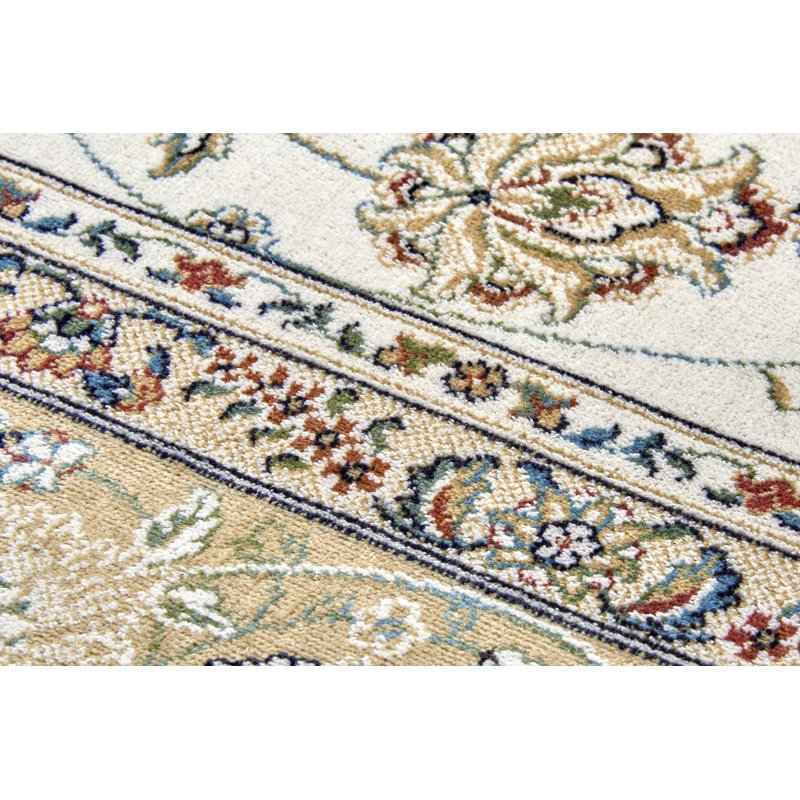 Oriental Area Rug, Rectangular 195 x 300cm