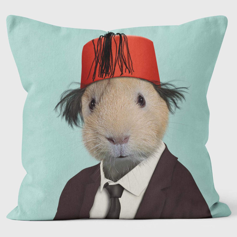 Magic - Pets Rock Cushion