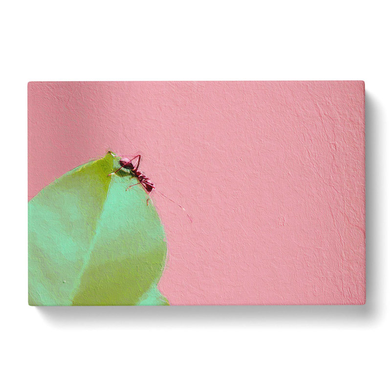 Ant - Wrapped Canvas Print, 50cm H x 76cm W x 3cm D
